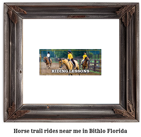 horse trail rides near me in Bithlo, Florida